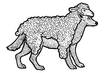 Wolf in sheeps clothing sketch engraving PNG illustration. T-shirt apparel print design. Scratch board style imitation. Black and white hand drawn image.