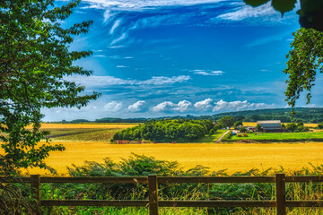 panorama idyllic farm in uk wide view, Britain agricultural serene landscapes