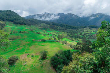 Naklejka premium WOODED WATERLAND LANDSCAPE IN COLOMBIA WITH CATTLE GRASSLANDS IN THE LOWER PART OF THE MOUNTAIN