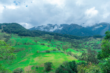 WOODED WATERLAND LANDSCAPE IN COLOMBIA WITH CATTLE GRASSLANDS IN THE LOWER PART OF THE MOUNTAIN
