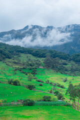 WOODED WATERLAND LANDSCAPE IN COLOMBIA WITH CATTLE GRASSLANDS IN THE LOWER PART OF THE MOUNTAIN