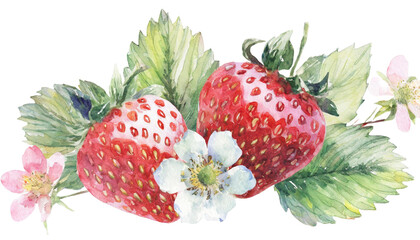 watercolor strawberry with leaves on transparent background