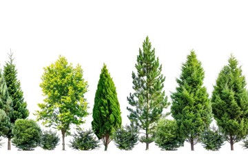 Green trees isolated on white background. Forest and foliage in summer. Row of trees and shrubs - generative ai - Powered by Adobe