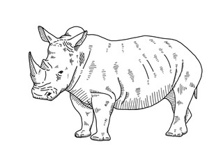 rhinoceros