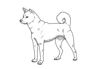 illustration of a dog