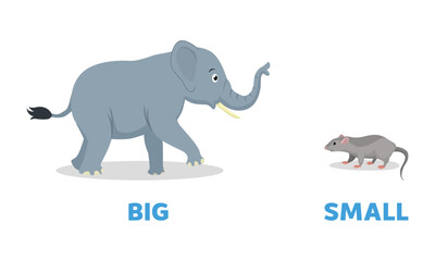 Opposite antonym words big and small illustration of elephant and rat