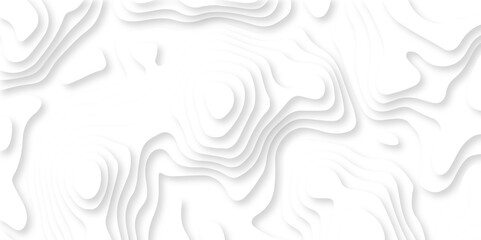 Modern black and white carve wave line abstract luxury papercut background. vector minimal light element shadow landscape wave element curve graphic papercut design.
