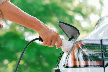 Closeup man recharge electric car's battery from charging station in outdoor green city park in...