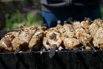 meat, shish kebab, barbecue, fry meat, grill, picnic, vacation, holidays, summer, pork, beef, kitchen, cooking