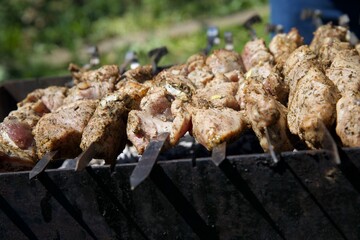 meat, shish kebab, barbecue, fry meat, grill, picnic, vacation, holidays, summer, pork, beef, kitchen, cooking