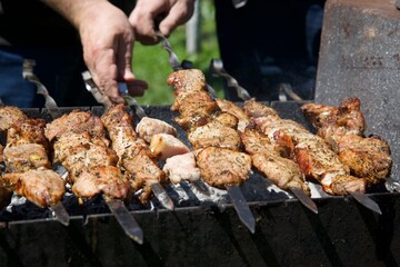 meat, shish kebab, barbecue, fry meat, grill, picnic, vacation, holidays, summer, pork, beef, kitchen, cooking