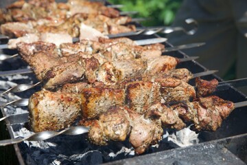 meat, shish kebab, barbecue, fry meat, grill, picnic, vacation, holidays, summer, pork, beef, kitchen, cooking