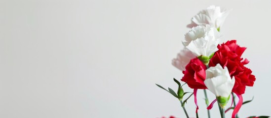 Mother's Day, Carnations, Happy Mother's Day,