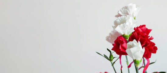 Obraz premium Mother's Day, Carnations, Happy Mother's Day,