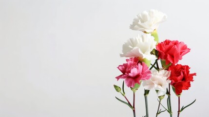 Mother's Day, Carnations, Happy Mother's Day,