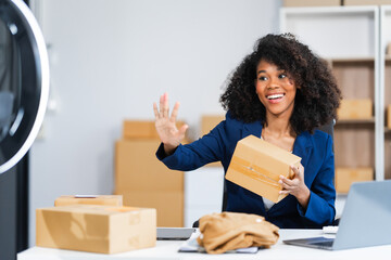 A young African American woman with afro brown hair works in a modern office, managing her online...