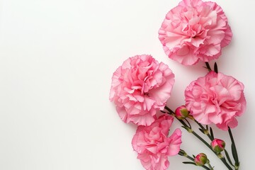 Mother's Day, Carnations, Happy Mother's Day,