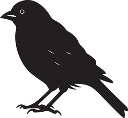 Finch Silhouette Vector Illustration White Background