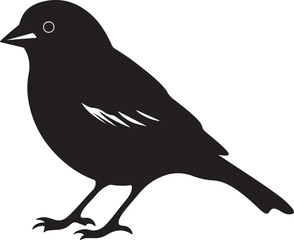 Finch Silhouette Vector Illustration White Background