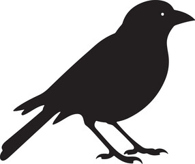 Finch Silhouette Vector Illustration White Background
