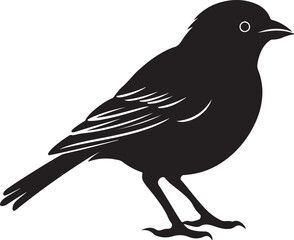 Finch Silhouette Vector Illustration White Background