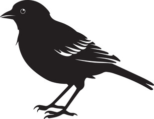 Finch Silhouette Vector Illustration White Background