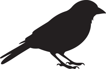 Finch Silhouette Vector Illustration White Background