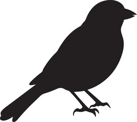 Finch Silhouette Vector Illustration White Background