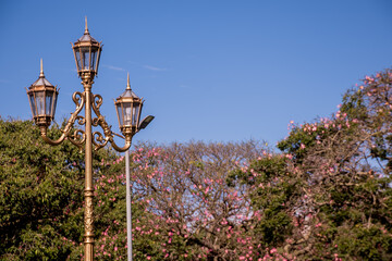 poles and trees in recoleta square Buenos Aires Argentina