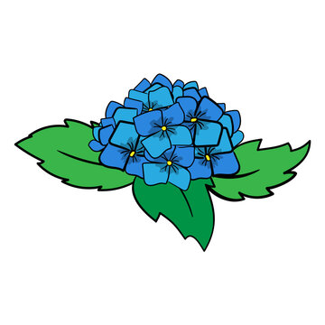 blue hydrangea flower with green leaves clip art preview