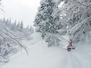Clearing the Footpath in snow covered winter pine forest with snow blower, deep snowdrifts and...