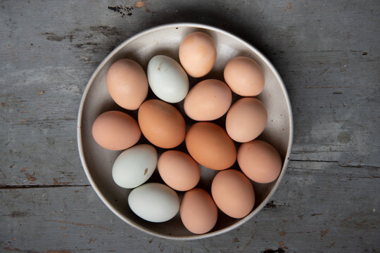 Fresh multi colored eggs in a bowl
