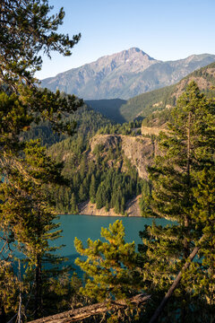 Diablo Lake Hides Behind Pine Trees in North Cascades