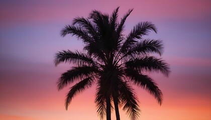 A lone palm tree silhouetted against the vibrant h