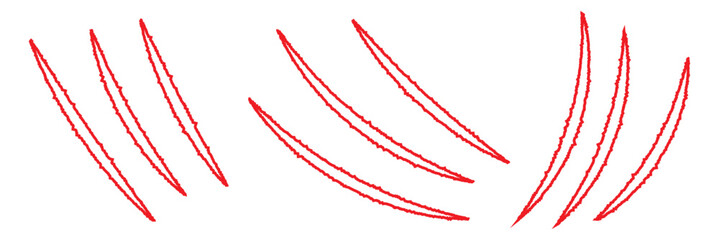 Animal Claw scratches mark set. Cat tiger scratches paw shape. isolated on White background. Icon, flat. Vector isolated on white background. Scratches of cat, tiger, lion, dog, jaguar, bear. 11:11