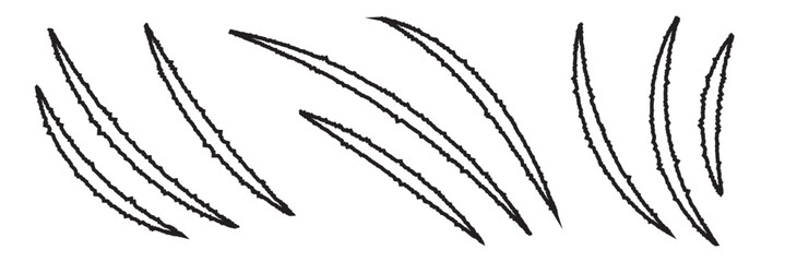 Animal Claw scratches mark set. Cat tiger scratches paw shape. Animal Claw scratches icon vector. Claws silhouette. Scratched surface. 11:11