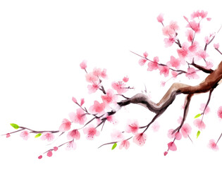 PNG Sakura watercolor border blossom flower plant.