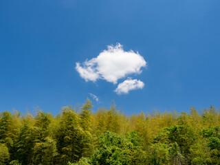初夏ののんびりした空