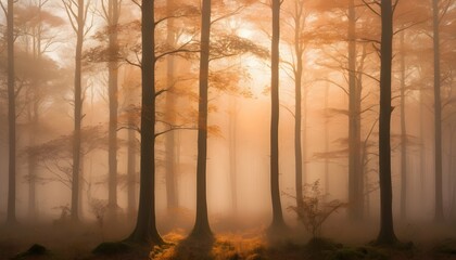 A forest canopy bathed in the soft light of dawn