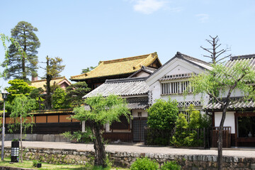 倉敷の美観地区の通り端。