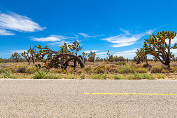 Empty road on the desert