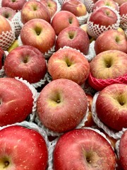 Sweet pinkish red fuji apple fruits wrapped in white plastic nets in market store stall display. Healthy natural food full of vitamins. Group of fruits isolated on full frame vertical ratio background