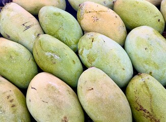 Mangoes with green colored skin. Healthy natural food full of vitamins. Group of fruits isolated on full frame horizontal ratio background.
