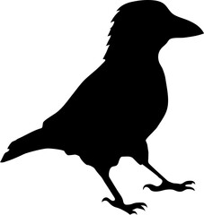 Naklejka premium Bird Crow Black Silhouette for Icon.