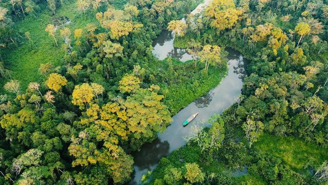 Selva del Amazonas
