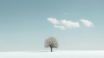 Capture a serene, minimalist landscape with a lone tree against a vast, empty sky using clean lines and subtle coloring Let the simplicity speak volumes