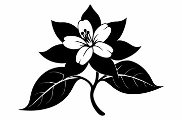 jasmine black and white flower silhouette on white background, Vector illustration, bird, icon, svg, characters, Holiday t shirt, Hand drawn trendy Vector illustration, flower