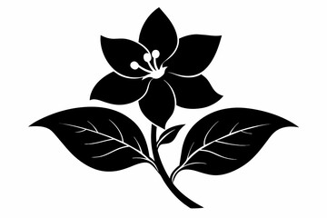 jasmine black and white flower silhouette on white background, Vector illustration, bird, icon, svg, characters, Holiday t shirt, Hand drawn trendy Vector illustration, flower