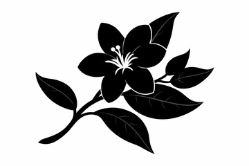 jasmine black and white flower silhouette on white background, Vector illustration, bird, icon, svg, characters, Holiday t shirt, Hand drawn trendy Vector illustration, flower