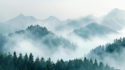 mystical mountain mists rise above a lush forest, with a lone green tree standing tall in the foreground